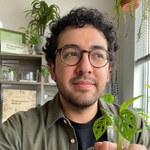Propagation Nation