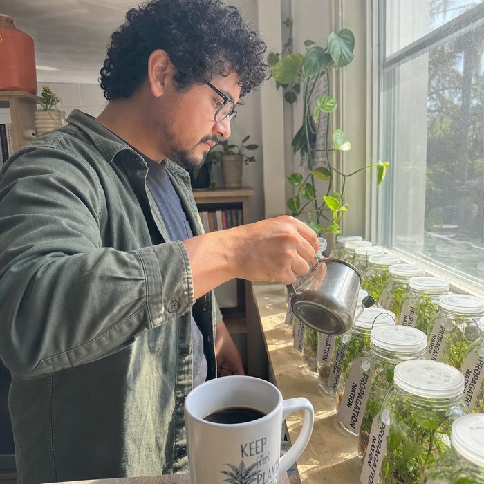 Plant seller watering cuttings